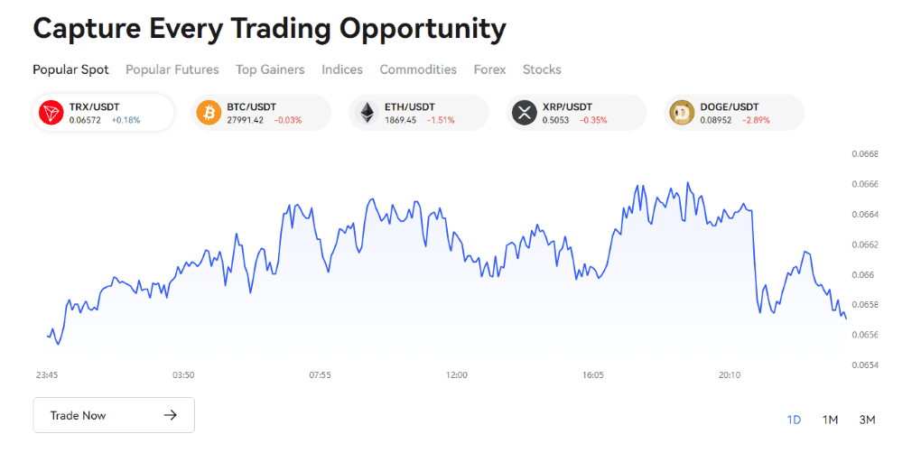 BingX Markets