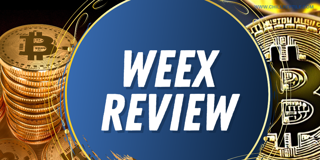 WEEX Review: Most Trusted Crypto Exchange of 2024?