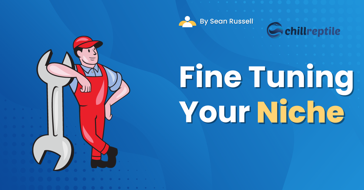 Fine Tuning Your Niche - menprovement