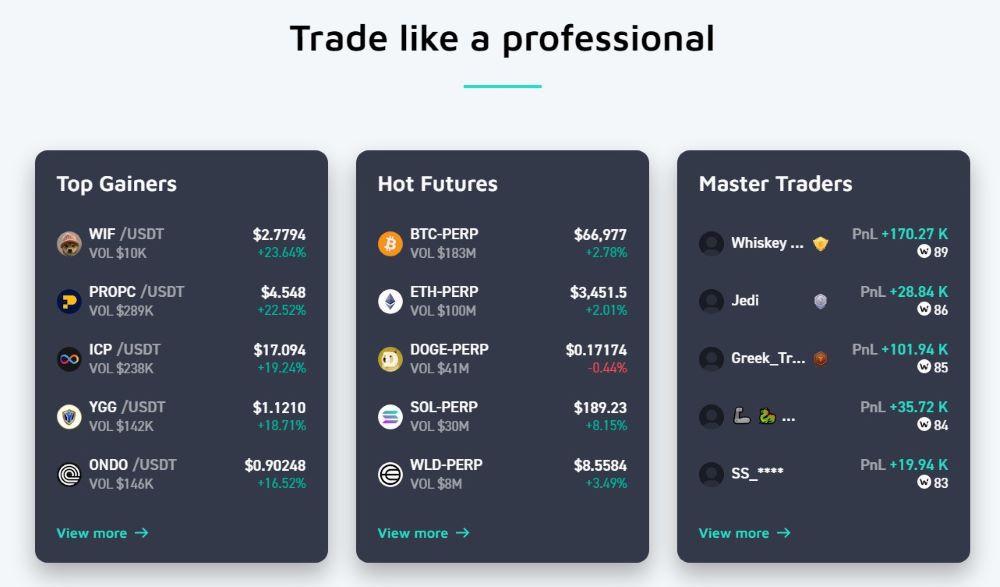 WOO X Top Gainers