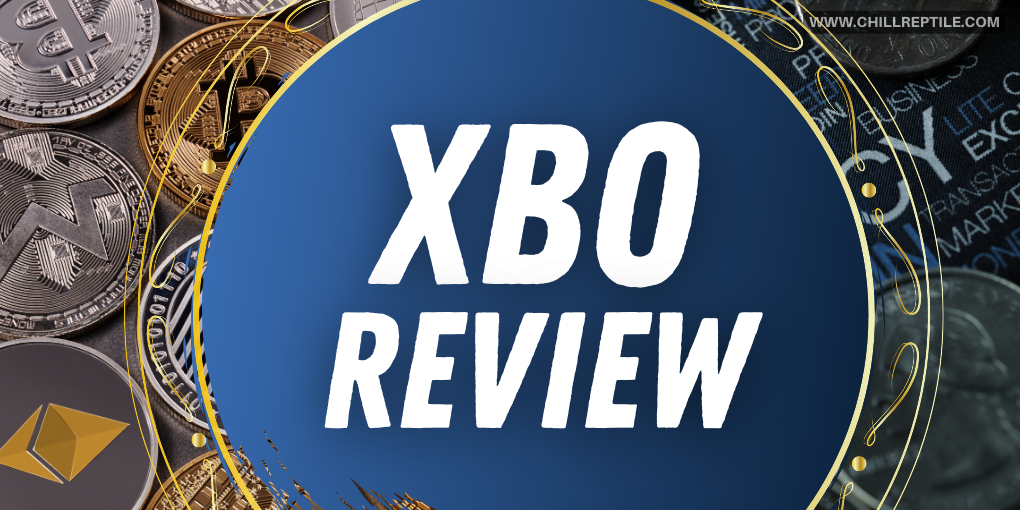 XBO Review: Pros, Cons, and Alternatives (2024)
